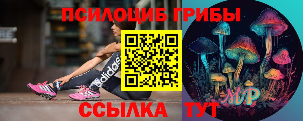 Набережные Челны  Псилоцибиновые грибы мухоморы  как найти закладки  Вход с VPN  Галлюциногенные грибы Psilocybe 